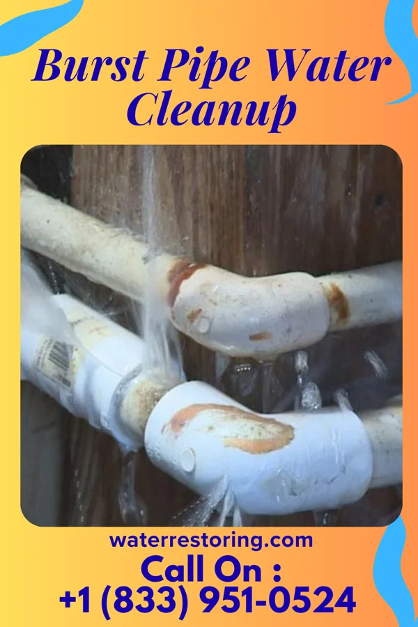 Burst Pipe Water Cleanup in Payson, AZ