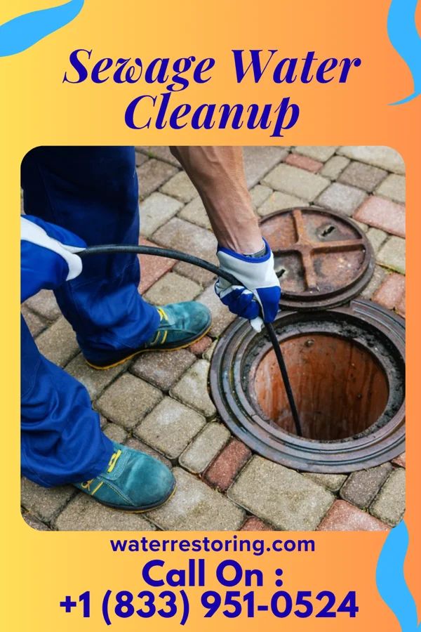 Sewage Water Cleanup in Payson, AZ
