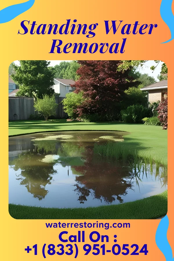 Standing Water Removal in Payson, AZ